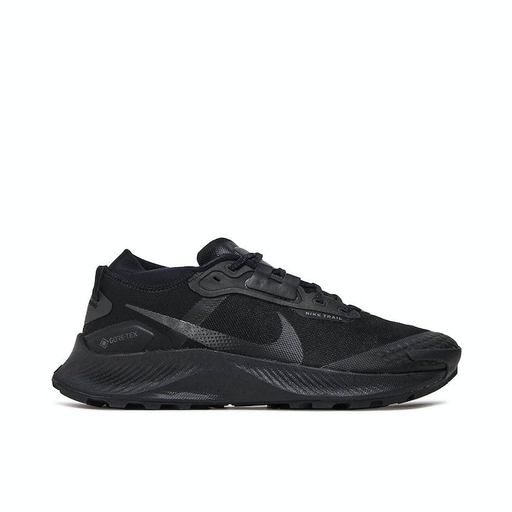 Nike Pegasus Trail 3 GORE-TEX Black